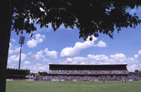 Goodyear (Springbok) Park, Bloemfontein